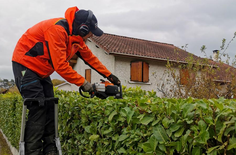 service taille haie
