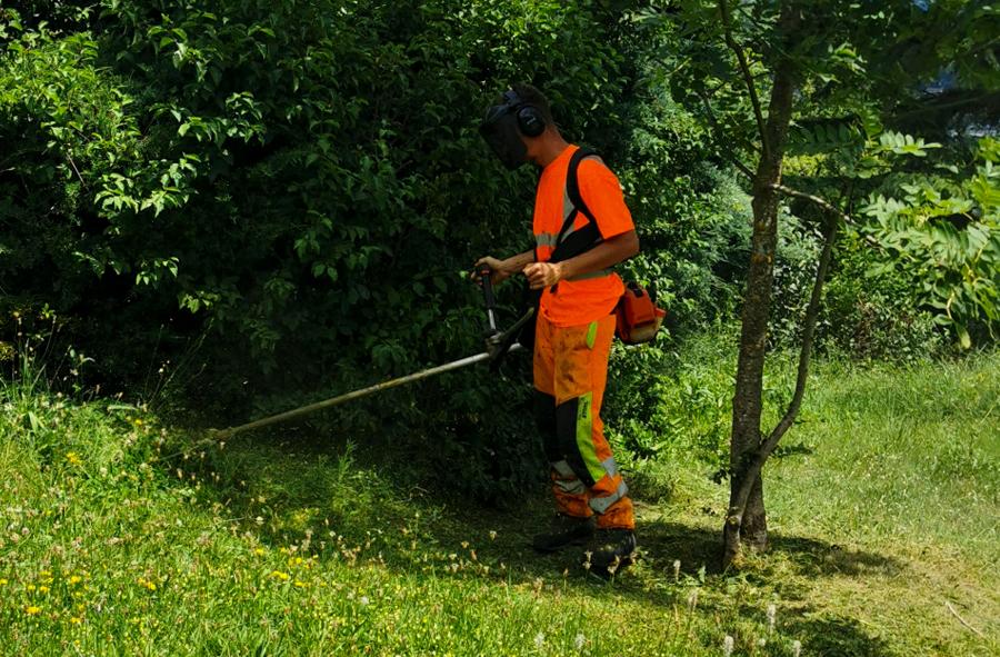 service débrousaillage-herbe