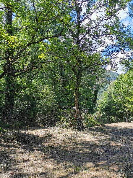 entretien terrain