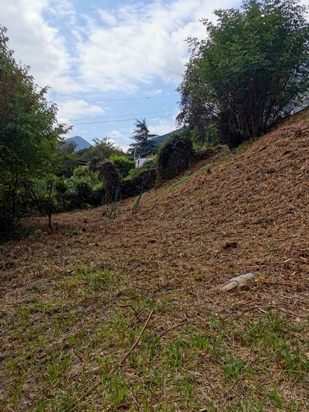 remise état terrain
